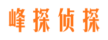 天门市调查公司